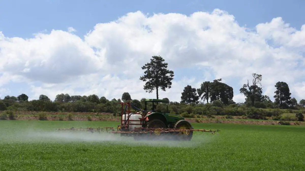 Campesinos, campo